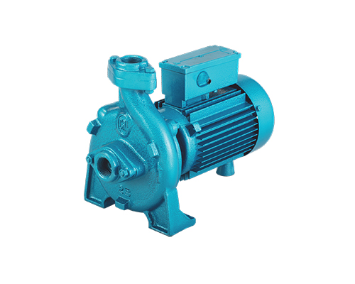 CRI Monoblock Pumpset 1 hp VIRAT 1025H (30 head) 1.25X1