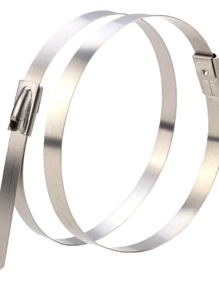 Cable tie SS 4.8×250 mm