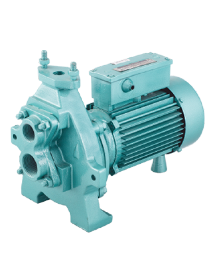 CRI Deepwell Centrifugal Jet Monoblock Pumpset AJ7 1 HP (25mtr Suction Head)