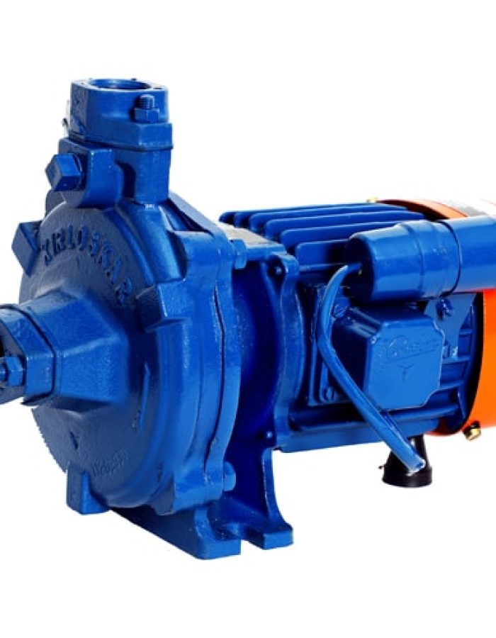 Kirloskar Monoblock pumpset 1.0HP KDS 134+ (30mtrs head)