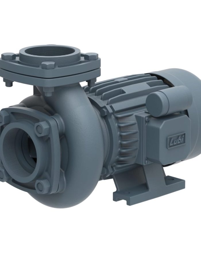 LUBI Monoblock Pumpset 0.5 HP (MDH-12E) 18mtr Head