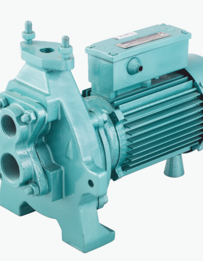 CRI Deepwell Centrifugal Jet Monoblock Pumpset AJ9 1 HP (39mtr Suction Head)