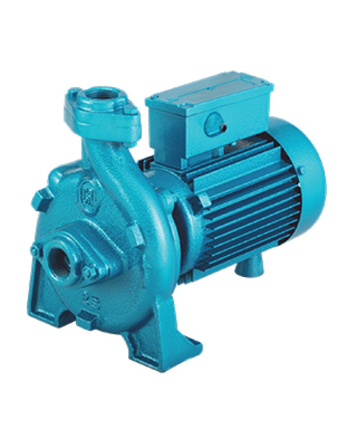 CRI Monoblock pumpset 1 hp virat 1025HH (32 head) 1X1