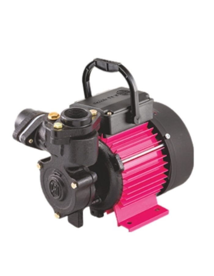 CRI Mini Monoblock Pumpset 1 HP (Shine series)