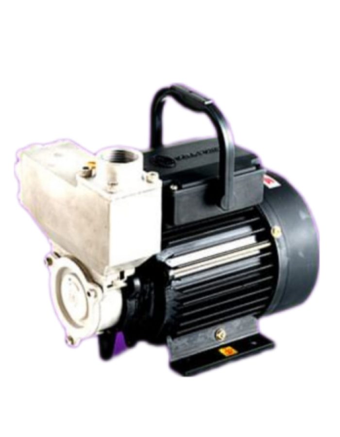 CRI Mini monoblock Pumpset 1 HP (Steelix series)